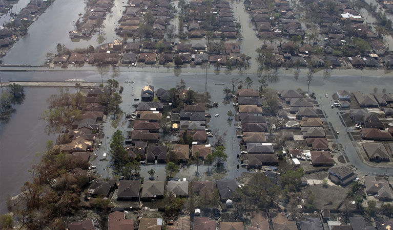 Honolulu Post Disaster Survey