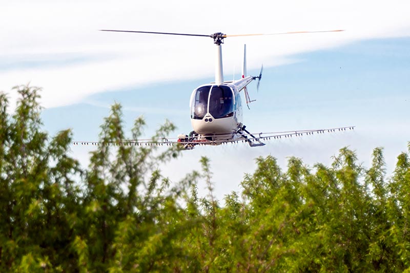 Hawaii Frost Control by Helicopter
